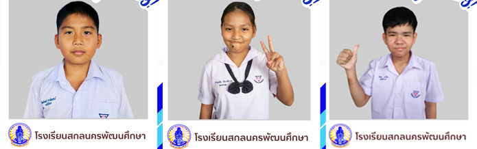 Css Template Preview