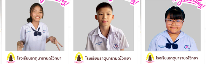 Css Template Preview